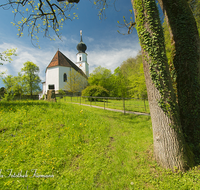 fileadmin/roha/images_galerie/orte_landschaft/Ainring/AINR-KI-0009-D-roha-Ainring-Kirche-St-Laurentius-Baumstamm.png