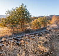 fileadmin/roha/images_galerie/orte_landschaft/Ainring/AINR-MOOR-0004-8-02-D-roha-Ainring-Moor-Torf-Boggerlbahn-Gleis-Herbst.png