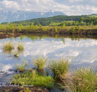 fileadmin/roha/images_galerie/orte_landschaft/Ainring/AINR-MOOR-0006-D-roha-Ainring-Moor-See-Ulrichshoegl-Untersberg.png