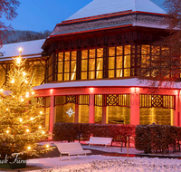 fileadmin/roha/Interessantes-in-Kurzform/BAD-REI-KURGAR-WI-0016-D-roha-Bad-Reichenhall-Kurgarten-Christbaum-Weihnachten-Gradierhaus.png