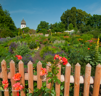 fileadmin/roha/images_galerie/Baum-natur-garten/Blumengarten-Blumen/CHIE-FRAU-0004-7-D-roha-Chiemsee-Fraueninsel-Frauenwoerth-Kloster-Garten-Rosen.png