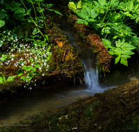 fileadmin/roha/images_galerie/Wasser-Brunnen/LANDA-BRUN-ANG-KOHLH-0001-D-roha-Landart-Brunnen-Wasser-Teisenberg-Kohlhaeuslstrasse.png