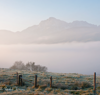 fileadmin/roha/images_galerie/orte_landschaft/Anger/Anger/Anger-Stimmung/LANDS-ANG-HOEGLW-0006-D-roha-Landschaft-Anger-Hoeglwoerth-Nebel-Herbst-Hochstaufen-Zaun.png