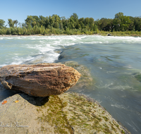 fileadmin/roha/images_galerie/wasser/LAUF-SALZA-SOHL-0005-D-roha-Laufen-Salzach-Sohlschwelle-Schwemmholz.png