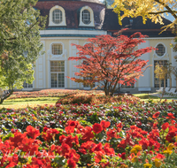 fileadmin/roha/Interessantes-in-Kurzform/BAD-REI-KURGAR-0013-08-D-roha-Bad-Reichenhall-Kurgarten-Rotunde-Herbst.png