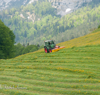 fileadmin/roha/images_galerie/Landwirtschaft/LANDW-MASCH-MAEH-RA-0006-D-roha-Landwirtschaft-Ramsau-Berchtesgaden-Reiter-Alpe-Scheffaulehen-Traktor-Maehen.png