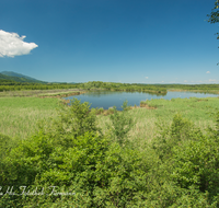 fileadmin/roha/images_galerie/orte_landschaft/Ainring/AINR-MOOR-0012-D-roha-Ainring-Moor-See-Hoegl.png