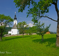 fileadmin/roha/images_galerie/kirche_religion/Ainring/AINR-UL-0015-D-roha-Ainring-Ulrichshoegl-Kirche-Obstgarten.png