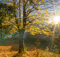 fileadmin/roha/images_galerie/stimmung-Sonne/BAD-REI-BURG-KAR-0004-D-roha-Bad-Reichenhall-Karlstein-Burg-Mauer-Sonnenuntergang.png