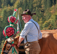 fileadmin/roha/images_galerie/brauchtum/Almabtrieb/Almabtrieb-Koenigssee/BR-ALMAB-BGD-2015-1139-02-D-roha-Brauchtum-Almabtrieb-Koenigssee-Salet-Schoenau-Fuikl.png