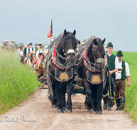 fileadmin/roha/images_galerie/brauchtum/Leonhardiritt/Holzhausen_01/BR-PFRI-HOLZ-2015-0056-D-roha-Brauchtum-Pferdeumritt-Holzhausen-Teisendorf-Leonhardiritt-Gespann.png