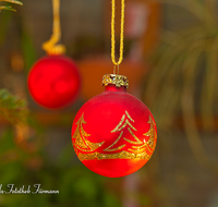 fileadmin/roha/images_galerie/brauchtum/Weihnachten/BR-WEIH-SCHMUCK-0051-D-roha-Brauchtum-Weihnachten-Christbaum-Kugel-rot-gold.png