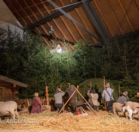 fileadmin/roha/images_galerie/orte_landschaft/Bad_Reichenhall_-_Stallweihnacht/BR-WEIH-STALL-2019-2056-05-D-roha-Brauchtum-Weihnachten-Krippe-Stall-Weihnacht-Bad-Reichenhall-Hirten.png