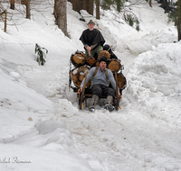 fileadmin/roha/images_galerie/Landwirtschaft/Forst-Holzknecht/HOLZKNE-HAM-2019-1415-03-D-roha-Holzknecht-Schlitten-Winter-Siegsdorf-Hammer-Winterzug.png