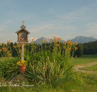 fileadmin/roha/images_galerie/kirche_religion/Tei-Wei-Rosenkranzweg/KKKM-TEI-WEI-ROS-06-0015-D-roha-Wegkreuz-Rosenkranz-Station-Teisendorf-Weildorf-Weg-Oelberg-Hochstaufen-Zwiesel-Lilien.png