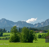 fileadmin/roha/images_galerie/orte_landschaft/Teisendorf/IN-LANDS-Teisendorf/LANDS-TEIS-ALM-0025-D-roha-Landschaft-Teisendorf-Bauernhof-Almeding-Hochstaufen-Zwiesel.png