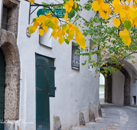 fileadmin/roha/images_galerie/orte_landschaft/Salzburg/Steingasse/SA-STEING-0005-D-roha-Salzburg-Steintor-Tor-Steingasse-Kopfsteinpflaster.png