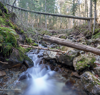 fileadmin/roha/images_galerie/wasser/WAS-WILDB-STOISS-0103-D-roha-Wasser-Wildbach-Stoissermaisbach-Poschennockbach-Teisenberg.png