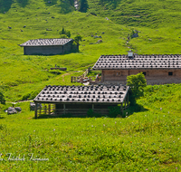 fileadmin/roha/images_galerie/orte_landschaft/Berchtesgaden/Nationalpark_Klausbachtal_Wimbachtal_-Klamm/BGD-NAT-BIND-0003-5-D-roha-Berchtesgaden-Nationalpark-Bindalm-Huette.png