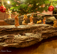 fileadmin/roha/images_galerie/brauchtum/Weihnachten-Krippen/BR-WEIH-KRI-0105-D-roha-Brauchtum-Weihnachten-Krippe-Christbaum.png