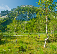 fileadmin/roha/images_galerie/orte_landschaft/Inzell/INZ-FRILL-0025-D-roha-Inzell-Frillensee-Zwiesel-Biotop-Naturschutz-Wasser-See.png