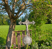 fileadmin/roha/images_galerie/kirche_religion/Teisendorf/KKKM-TEIS-MUEHLR-0005-D-roha-Wegkreuz-Teisendorf-Muehlreut-Achthaler-Guss-Baum.png