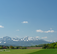 fileadmin/roha/images_galerie/orte_landschaft/Saaldorf/LANDS-ABTS-0004-D-roha-Landschaft-Abtsdorf-Saaldorf-Hochstaufen-Zwiesel.png