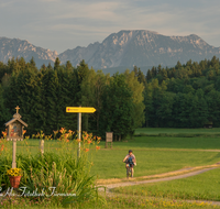 fileadmin/roha/images_galerie/Freizeit-Sport/E-Bike/SPO-E-BIKE-TEI-ROS-0003-D-roha-Sport-E-Bike-Teisendorf-Punschern-Rosenkranzweg-Hochstaufen-Zwiesel.png