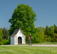 fileadmin/roha/images_galerie/Freizeit-Sport/Mountainbike-Radfahren/SPO-RAD-REN-ABTS-0001-D-roha-Sport-Rennrad-Saaldorf-Abtsdorf-Kapelle.png