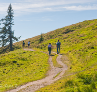 fileadmin/roha/images_galerie/orte_landschaft/Stoisser-Alm/WAN-TEI-STOIS-0004-D-roha-Sport-Wandern-Weg-Teisendorf-Anger-Stoisser-Alm-Teisenberg.png