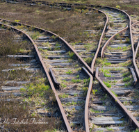 fileadmin/roha/images_galerie/orte_landschaft/Ainring/AINR-MOOR-0004-7-D-roha-Ainring-Moor-Torf-Torfabbau-Boggerlbahn-Schiene.png