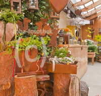 fileadmin/roha/images_galerie/Baum-natur-garten/Gaertnerei/BL-GAERTN-0017-D-roha-Blumen-Gewaechshaus-Gaertnerei-Dekoration-Dekomaterial-Ausstellung.jpg