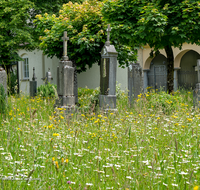 fileadmin/roha/images_galerie/orte_landschaft/Laufen/Klosterfriedhof/LAUF-KAPUZ-KI-0013-D-roha-Laufen-Kapuzinerkloster-Friedhof-Blumenwiese.png