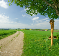 fileadmin/roha/images_galerie/kirche_religion/Palling-Kirchweidach-Tyrlaching/TYRLACH-KKKM-0001-D-roha-Tyrlaching-Wegkreuz-Strasse-Bank-Landschaft.png