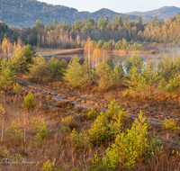 fileadmin/roha/images_galerie/orte_landschaft/Ainring/AINR-MOOR-0004-8-03-D-roha-Ainring-Moor-Torf-Boggerlbahn-Gleis-Herbst-See.png