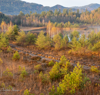 fileadmin/roha/images_galerie/orte_landschaft/Ainring/AINR-MOOR-0004-8-03-D-roha-Ainring-Moor-Torf-Boggerlbahn-Gleis-Herbst-See.png