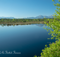 fileadmin/roha/images_galerie/orte_landschaft/Petting/Schoenramer-Moor/PE-SCHOENR-MOOR-0045-0-02-roha-Petting-Schoenramer-Moor-Moorsee-Untersberg-Hochstaufen-Zwiesel.png