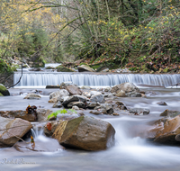 fileadmin/roha/images_galerie/wasser/WAS-WILDB-STOISS-0025-D-roha-Wasser-Wildbach-Stoisser-Ache-Anger-Herbst.png