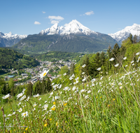 fileadmin/roha/images_galerie/orte_landschaft/Berchtesgaden/Markt-Berchtesgaden/BGD-0011-04-D-roha-Berchtesgaden-Watzmann-Blumenwiese-Fruehling.png