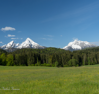 fileadmin/roha/images_galerie/orte_landschaft/Berchtesgaden/Bischofswiesen/BGD-WATZ-0008-10-D-roha-Berchtesgaden-Watzmann-Bischofswiesen-Hochkalter.png