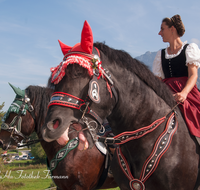 fileadmin/roha/images_galerie/brauchtum/Leonhardiritt/Inzell/BR-PFRI-INZ-0032-D-roha-Brauchtum-Pferdeumritt-Inzell-Michaeliritt-Pferd-Reiterin.png