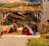 fileadmin/roha/images_galerie/brauchtum/Weihnachten-Krippen/Laufen/Laufen-Stiftskirche-Turmkapelle/BR-WEIH-KRI-LAUF-TK-01-1626-D-roha-Brauchtum-Weihnachten-Krippe-Stiftskirche-Laufen.png