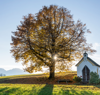 fileadmin/roha/Interessantes-in-Kurzform/ab-5-2022/KKKM-SAALD-SILL-0021-D-roha-Kapelle-Saaldorf-Sillersdorf-Hochstaufen-Zwiesel-Sonne.png