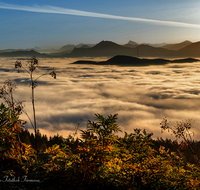 fileadmin/roha/images_galerie/stimmung-Sonne/Sonnenaufgang/SO-AU-ANG-TEISB-STOISSB-0003-0812-D-roha-Nebelstimmung-Anger-Stoissberg-Neuhaus.png