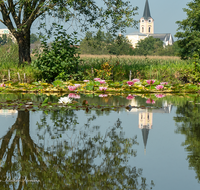 fileadmin/roha/images_galerie/orte_landschaft/Teisendorf/TEI-SUED-OST-0028-04-D-roha-Teisendorf-Sued-Ost-Weiher-Seerosen-Kirche.png