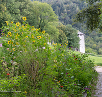 fileadmin/roha/images_galerie/orte_landschaft/Bad_Reichenhall/BAD-REI-PULV-0001-00-03-D-roha-Bad-Reichenhall-Pulverturm-Blumenwiese.png