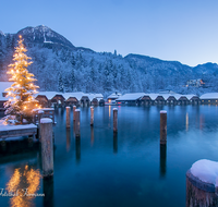 fileadmin/roha/images_galerie/orte_landschaft/Berchtesgaden/Koenigssee/BGD-KOE-SEELAEN-NA-2016-1648-D-roha-Berchtesgaden-Koenigssee-Seelaende-Nacht-Christbaum-Winter.png