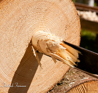 fileadmin/roha/images_galerie/arbeit_technik/Handwerk/HAN-DEICHEL-0006-D-roha-Handwerk-Deichel-Bohrer-Fichte-Stamm-Rohr-Kirchanschoering-Hof.png