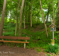 fileadmin/roha/images_galerie/kirche_religion/Tei-Wei-Rosenkranzweg/KKKM-TEI-WEI-ROS-03-0015-D-roha-Wegkreuz-Rosenkranz-Station-Teisendorf-Weildorf-Weg-Wald-Bank-Geburt.png