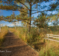 fileadmin/roha/images_galerie/Zaun-Bank/PE-SCHOENR-MOOR-0003-5-D-roha-Petting-Schoenramer-Moor-Weg-Herbst-Bank.png